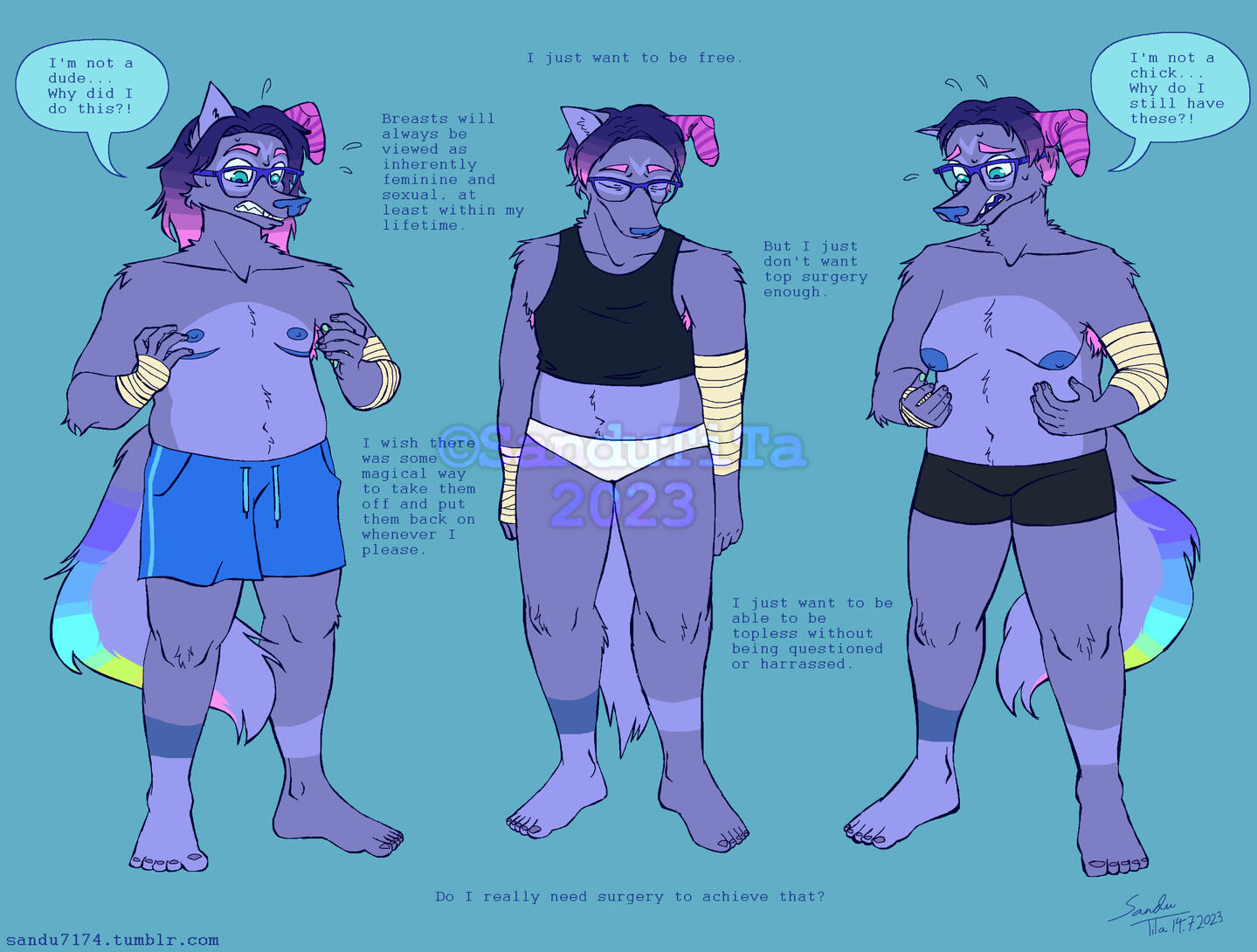 A drawn image of three anthropomorphic cat-dog characters, all the same character but depicted differently. The one on the left is a transmasculine character who has gone through top surgery. They're looking at their chest with worry and saying: "I'm not a